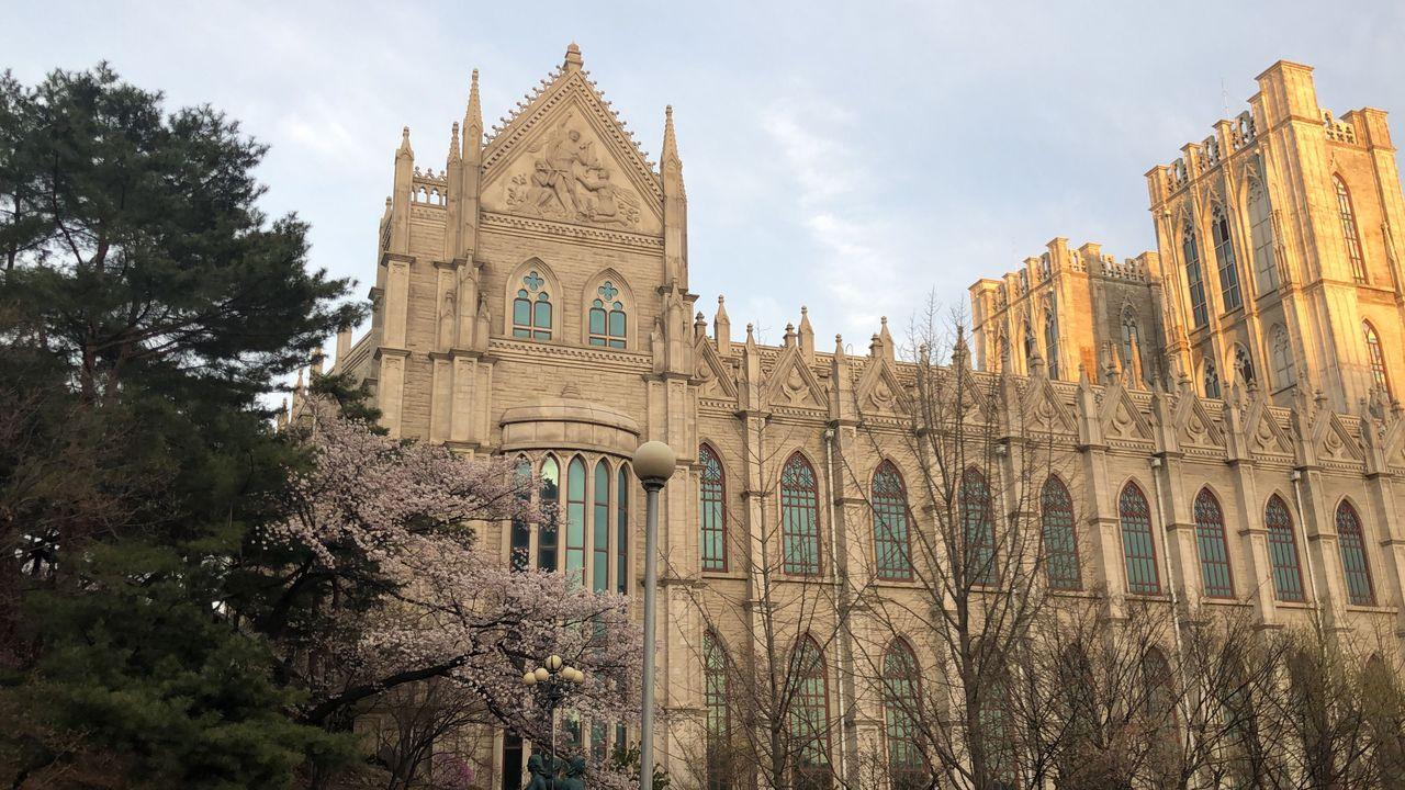 Take a walk on Kyung Hee campus with European architecture and cherry blossoms